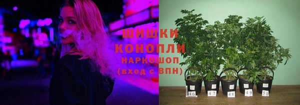 стаф Горнозаводск