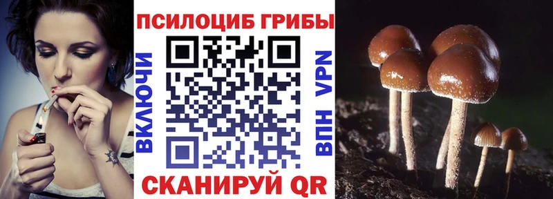 Псилоцибиновые грибы Magic Shrooms Купить где Сасово